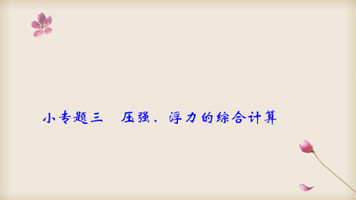 2020中考物理专题复习课件-《压强、浮力的综合计算》课件