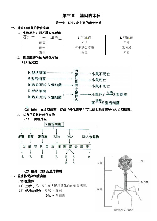 高中生物必修二第三章基因的本质