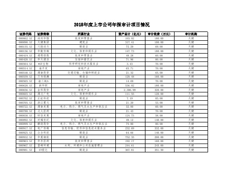 2018上公司年报审计项目情况.pdf