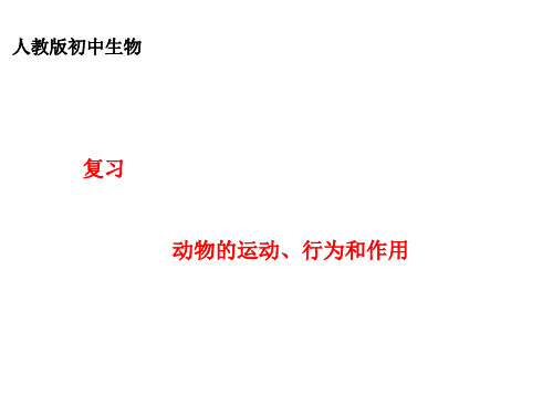 第五单元第二、三章动物的运动、行为和作用复习课件2021--2022学年人教版生物八年级上册