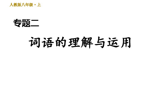 部编版八年级上册语文专题二 词语的理解与运用