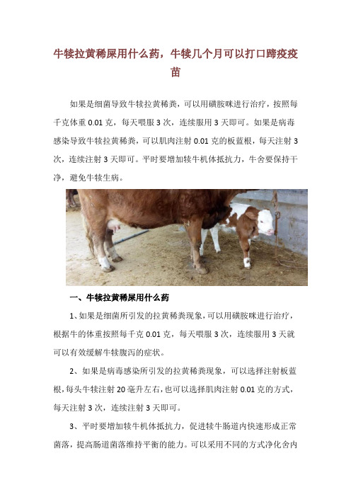 牛犊拉黄稀屎用什么药,牛犊几个月可以打口蹄疫疫苗