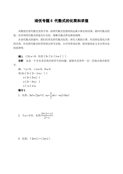 培优专题5代数式的化简和求值(含答案)-