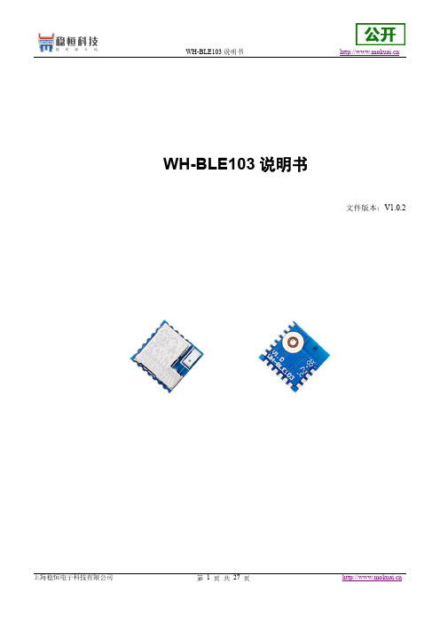 稳恒电子  WH-BLE103 说明书