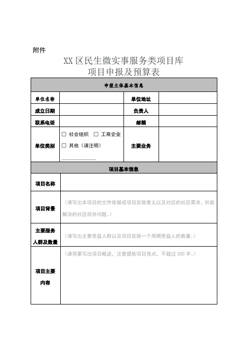 深圳民生微实事项目申报书