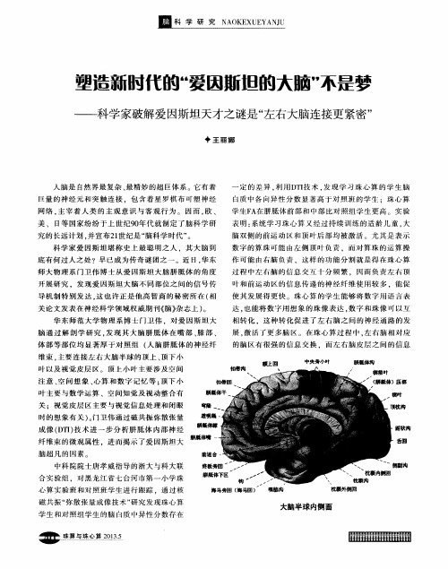 塑造新时代的“爱因斯坦的大脑”不是梦——科学家破解爱因斯坦天才之谜是“左右大脑连接更紧密”