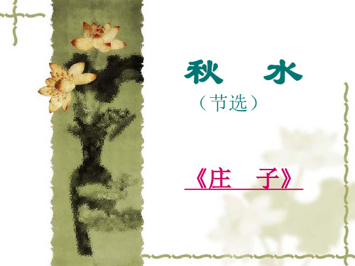 《秋水》ppt课件