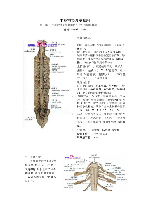 解剖