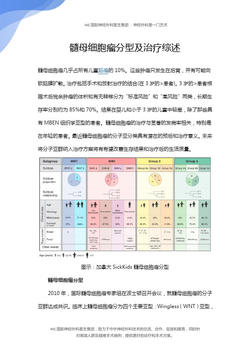 髓母细胞瘤分型及治疗综述