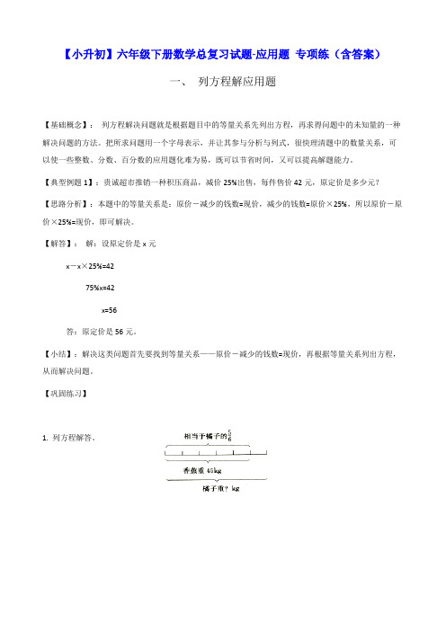 【小升初】六年级下册数学总复习试题-应用题 专项练(含答案)