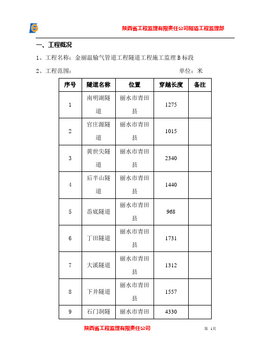 安全监理细则(隧道)