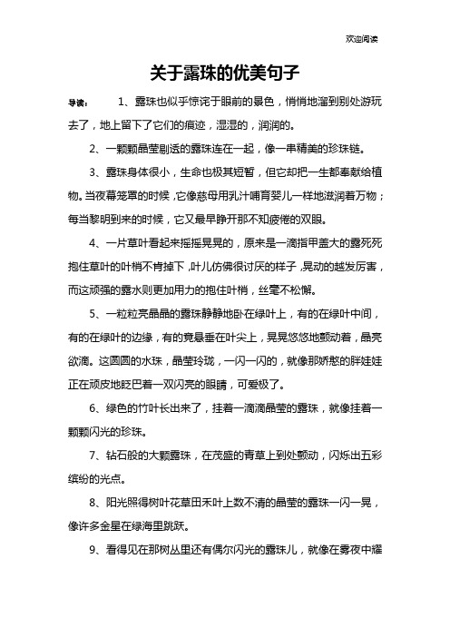 关于露珠的优美句子