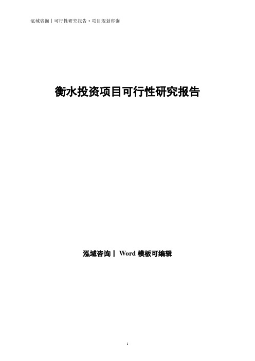 衡水投资项目可行性研究报告