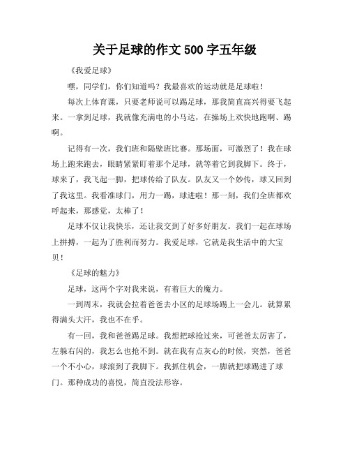 关于足球的作文500字五年级