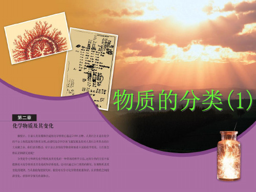 人教版化学必修一第二章物质的分类