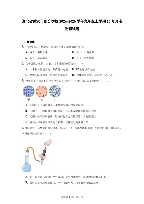 湖北省武汉市部分学校2024-2025学年九年级上学期10月月考物理试题