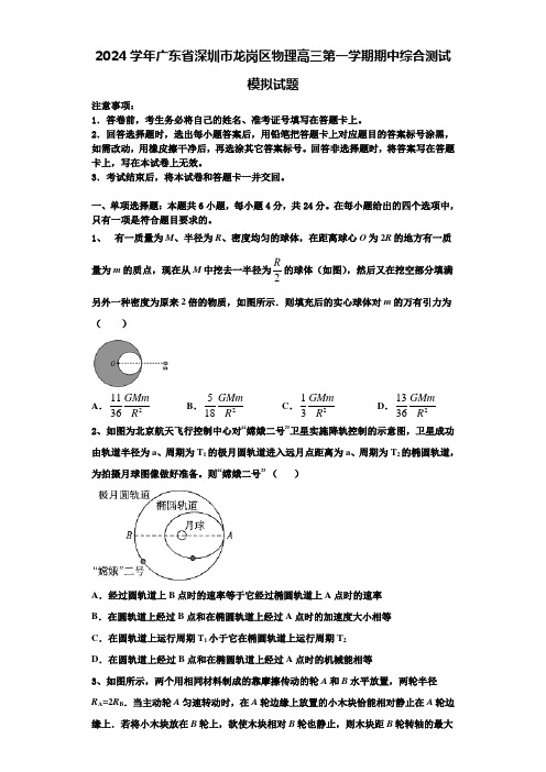 2024学年广东省深圳市龙岗区物理高三第一学期期中综合测试模拟试题含解析