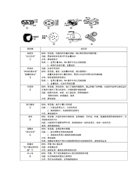 必修一 3.2细胞器知识点