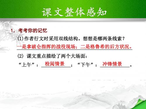 语文版八年级语文下册第四单元 16.《滑铁卢之战》习题课件 PPT课件