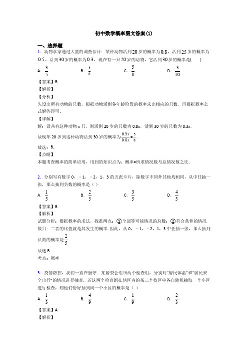 初中数学概率图文答案(1)