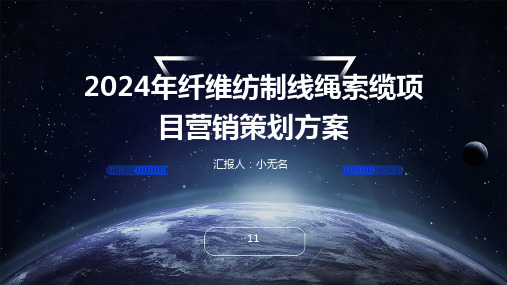 2024年纤维纺制线绳索缆项目营销策划方案