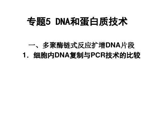 高中生物选修1《专题5 DNA和蛋白质技术》复习课件