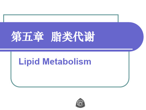 生物化学脂类代谢 PPT课件