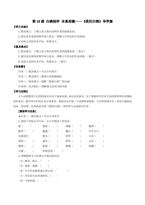 第18课《我的白鸽》导学案