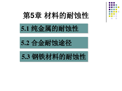 第5章 材料的耐蚀性