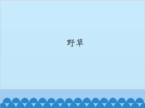 长春版五年级上册语文课件-10.1野草
