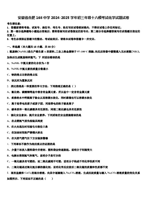 安徽省合肥168中学2024-2025学年初三年级十六模考试化学试题试卷含解析