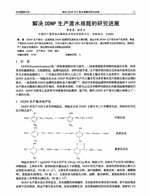 解决DDNP生产废水难题的研究进展