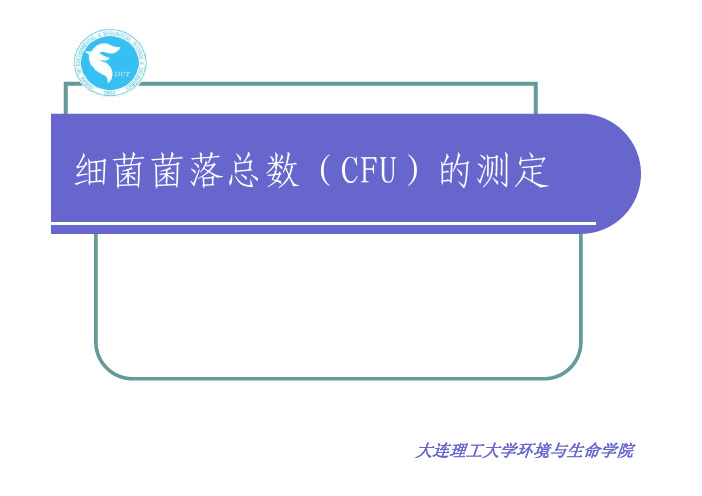 实验 细菌菌落总数 CFU 的测定