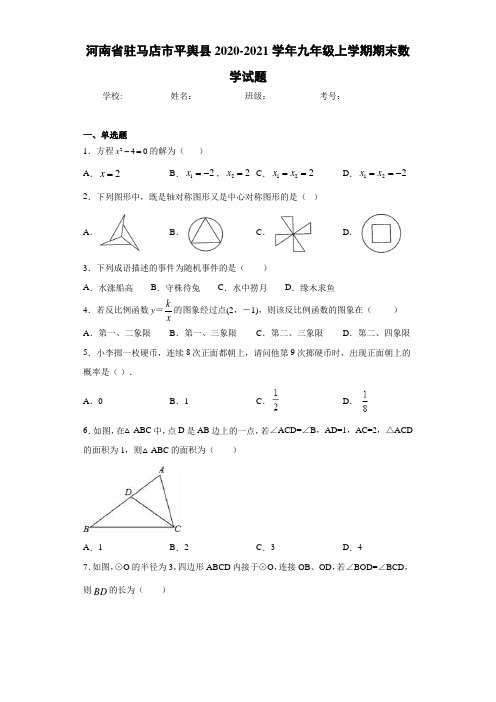 河南省驻马店市平舆县2020-2021学年九年级上学期期末数学试题