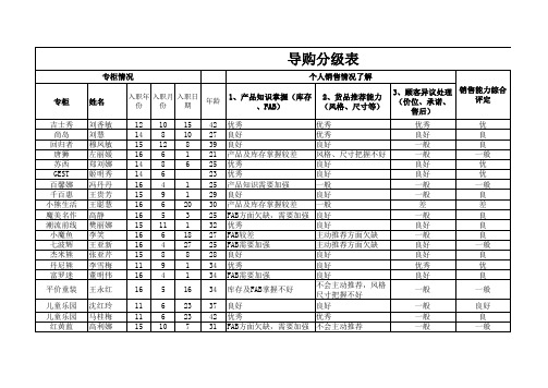 导购分级