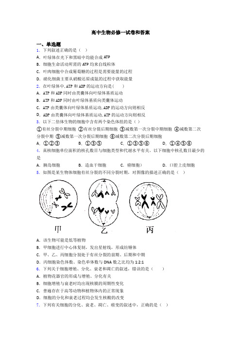 高中生物必修一试卷和答案