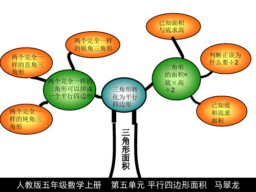 五年级知识树