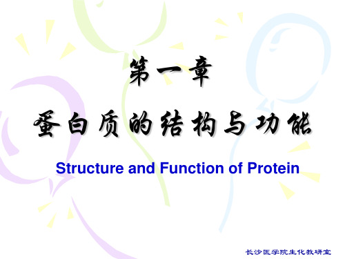 蛋白质的结构与功能