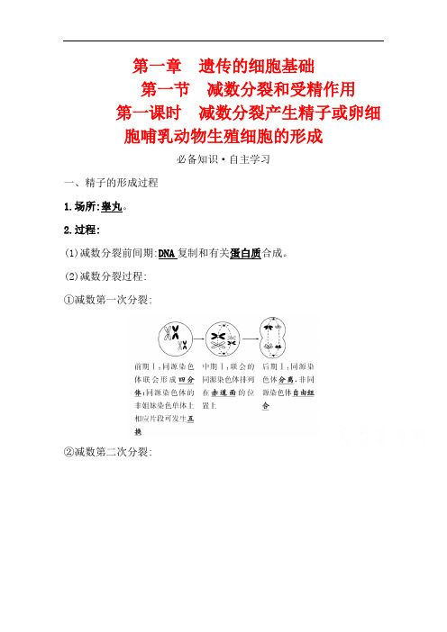 2020-2021学年生物苏教版必修第二册学案：1.1.1减数分裂产生精子或卵细胞哺乳动物生殖细胞的