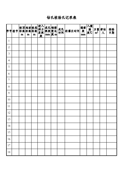 钻孔桩验孔记录表 (台账)