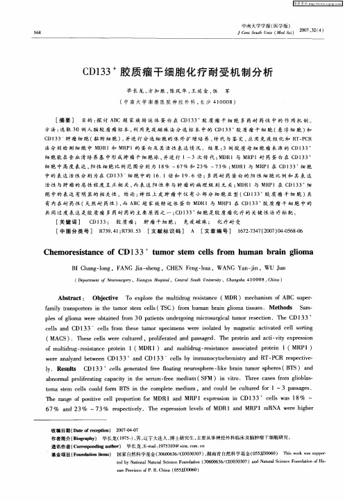 CD133 +胶质瘤干细胞化疗耐受机制分析