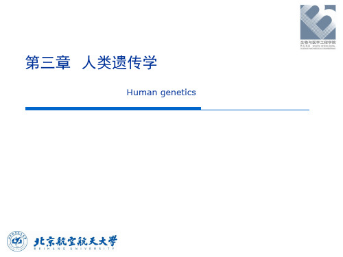 人体解剖生理学：第四章 人类遗传学