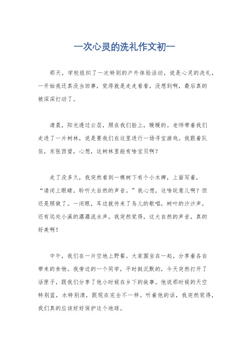 一次心灵的洗礼作文初一