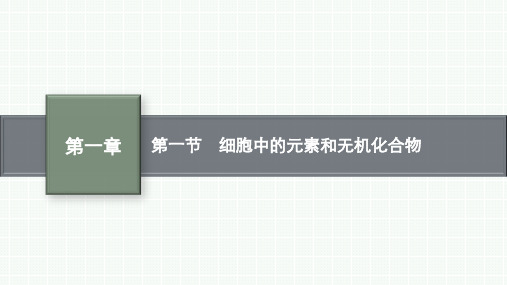 苏教版高中生物学必修1精品课件 第1章 细胞的分子组成 第1节 细胞中的元素和无机化合物