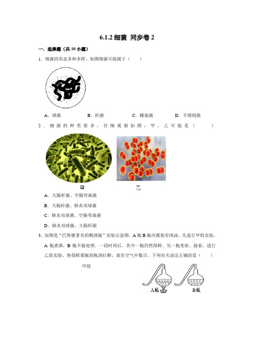 鲁科五四制版生物七年级下册细菌