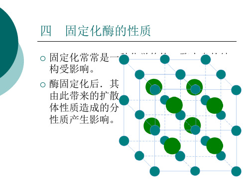 [生物学]第4章四 固定化酶的性质