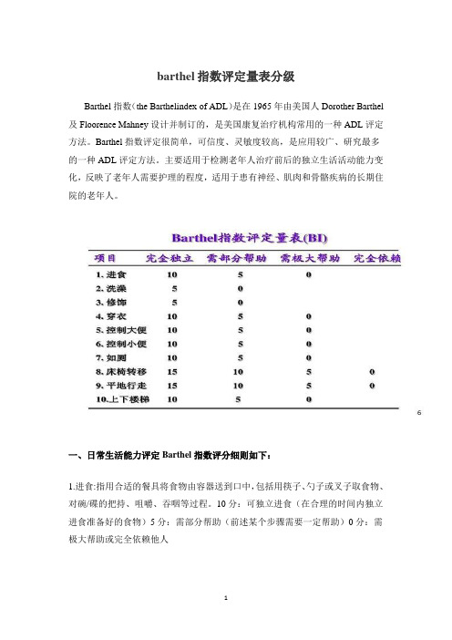 barthel指数评定量表分级