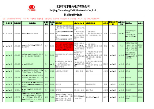 纠正行动计划表(1)