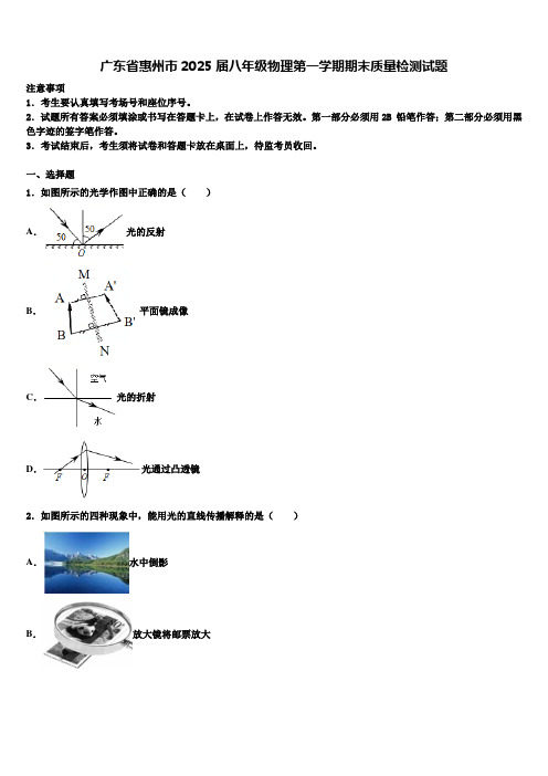 广东省惠州市2025届八年级物理第一学期期末质量检测试题含解析