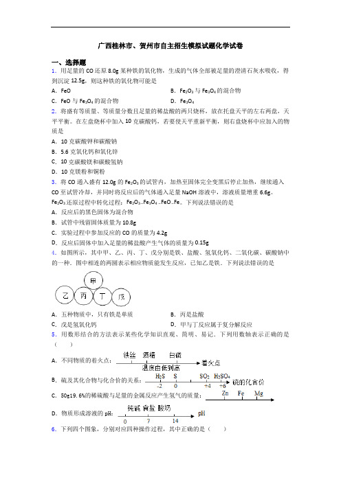 广西桂林市、贺州市自主招生模拟试题化学试卷